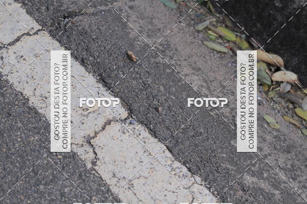 Buy your photos of the event4 Maratona de Campinas on Fotop