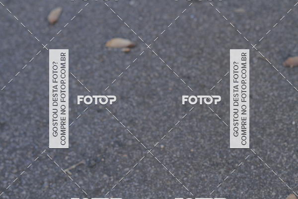 Buy your photos of the event4 Maratona de Campinas on Fotop