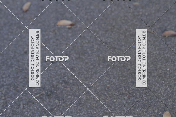 Buy your photos of the event4 Maratona de Campinas on Fotop