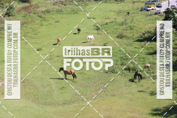 Buy your photos of the event2 Etapa da Copa Free Force de Mountain Bike on Fotop