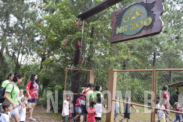 Buy your photos of the eventNR1 - DAY CAMP APROI 13/03/18 on Fotop