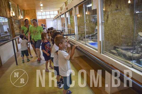 Buy your photos of the eventNR1 - DAY CAMP APROI 13/03/18 on Fotop