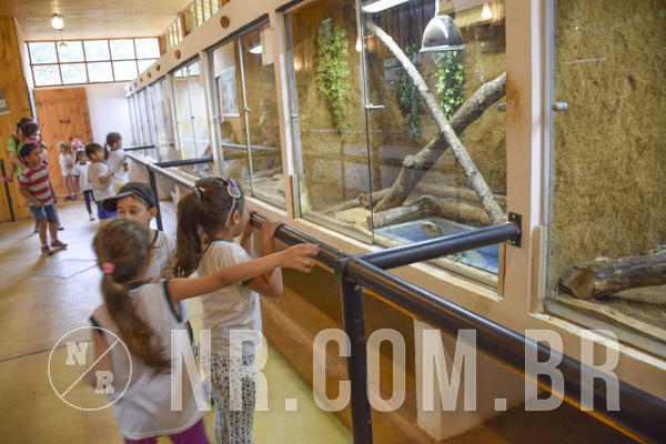 Buy your photos of the eventNR1 - DAY CAMP APROI 13/03/18 on Fotop