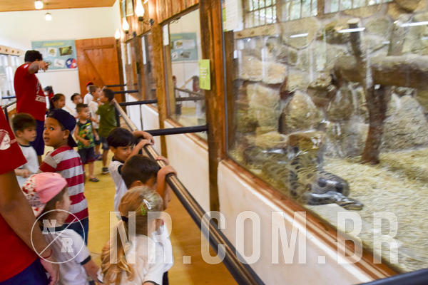 Buy your photos of the eventNR1 - DAY CAMP APROI 13/03/18 on Fotop