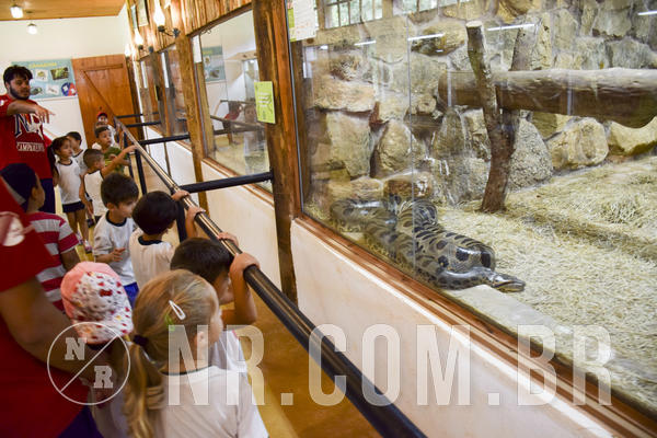 Buy your photos of the eventNR1 - DAY CAMP APROI 13/03/18 on Fotop