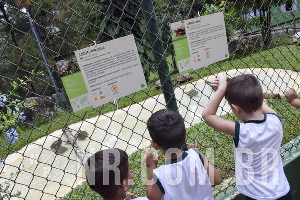 Buy your photos of the eventNR1 - DAY CAMP APROI 13/03/18 on Fotop