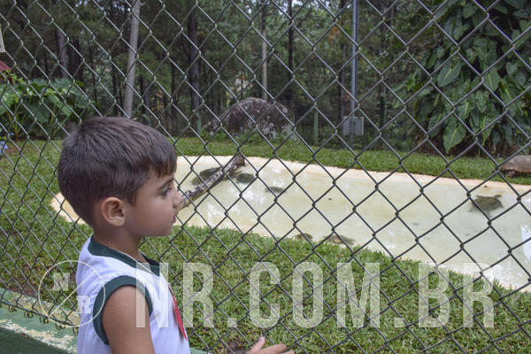 Buy your photos of the eventNR1 - DAY CAMP APROI 13/03/18 on Fotop