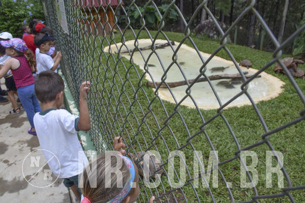 Buy your photos of the eventNR1 - DAY CAMP APROI 13/03/18 on Fotop