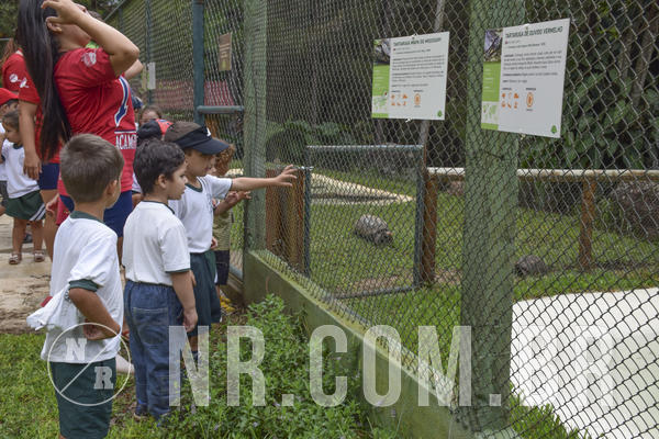 Buy your photos of the eventNR1 - DAY CAMP APROI 13/03/18 on Fotop