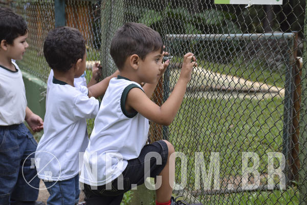 Buy your photos of the eventNR1 - DAY CAMP APROI 13/03/18 on Fotop