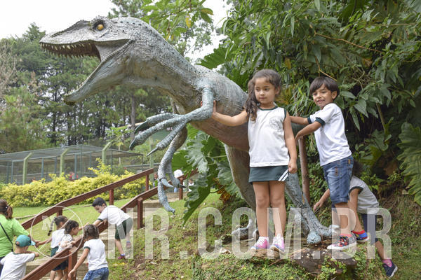 Buy your photos of the eventNR1 - DAY CAMP APROI 13/03/18 on Fotop