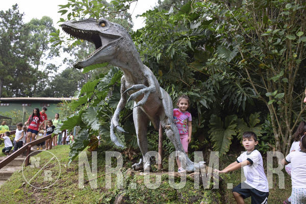 Buy your photos of the eventNR1 - DAY CAMP APROI 13/03/18 on Fotop