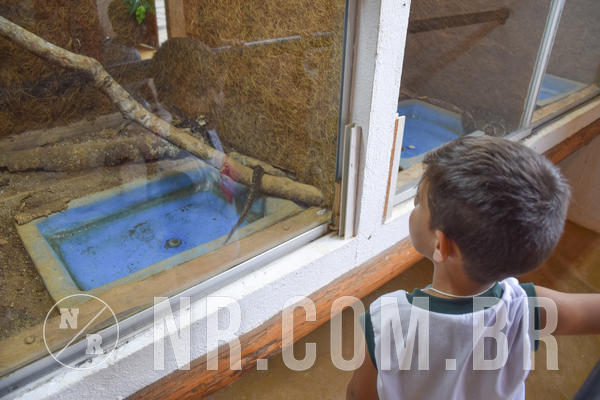 Buy your photos of the eventNR1 - DAY CAMP APROI 13/03/18 on Fotop