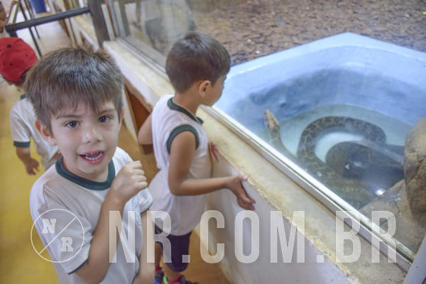 Buy your photos of the eventNR1 - DAY CAMP APROI 13/03/18 on Fotop