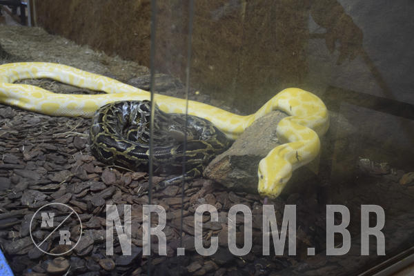 Buy your photos of the eventNR1 - DAY CAMP APROI 13/03/18 on Fotop