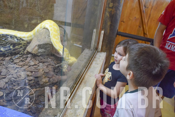 Buy your photos of the eventNR1 - DAY CAMP APROI 13/03/18 on Fotop