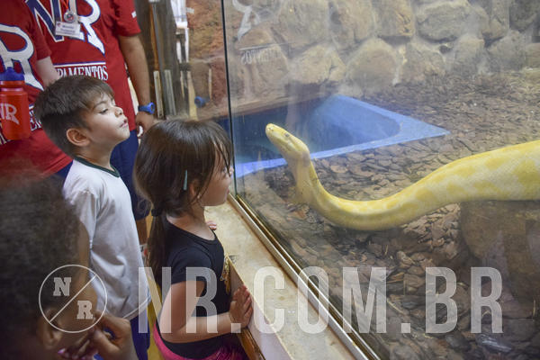 Buy your photos of the eventNR1 - DAY CAMP APROI 13/03/18 on Fotop