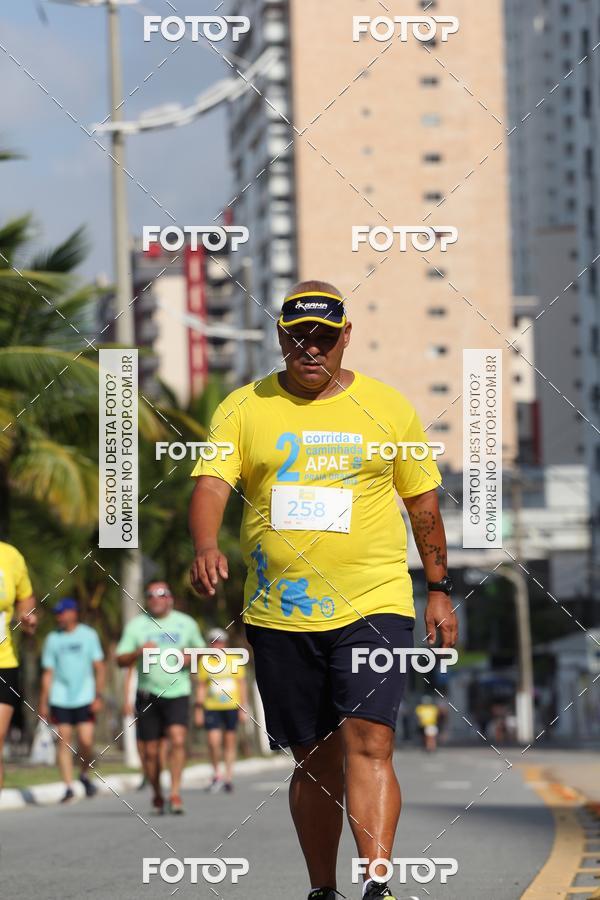 Buy your photos of the event2 Corrida e caminhada APAE de Praia Grande on Fotop