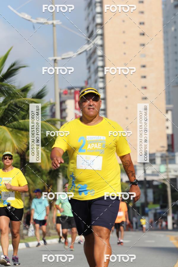 Buy your photos of the event2 Corrida e caminhada APAE de Praia Grande on Fotop