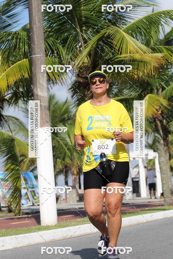 Buy your photos of the event2 Corrida e caminhada APAE de Praia Grande on Fotop