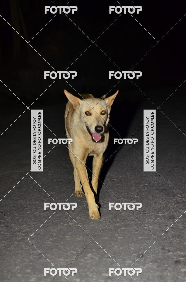 Buy your photos of the eventIGT 23K MOONLIGHT- NOTURNA on Fotop