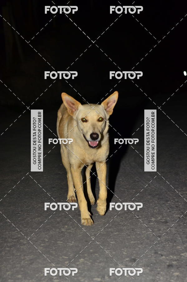 Buy your photos of the eventIGT 23K MOONLIGHT- NOTURNA on Fotop