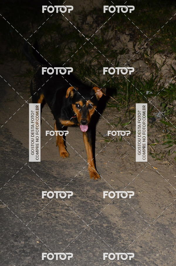 Buy your photos of the eventIGT 23K MOONLIGHT- NOTURNA on Fotop