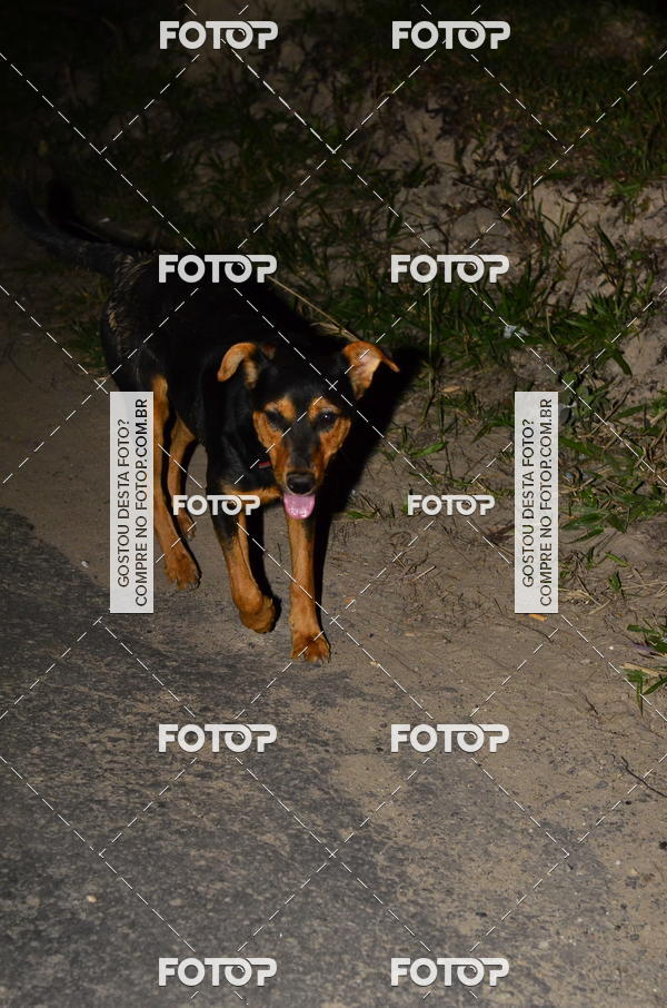 Buy your photos of the eventIGT 23K MOONLIGHT- NOTURNA on Fotop