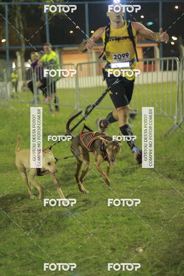 Buy your photos of the eventIGT 23K MOONLIGHT- NOTURNA on Fotop