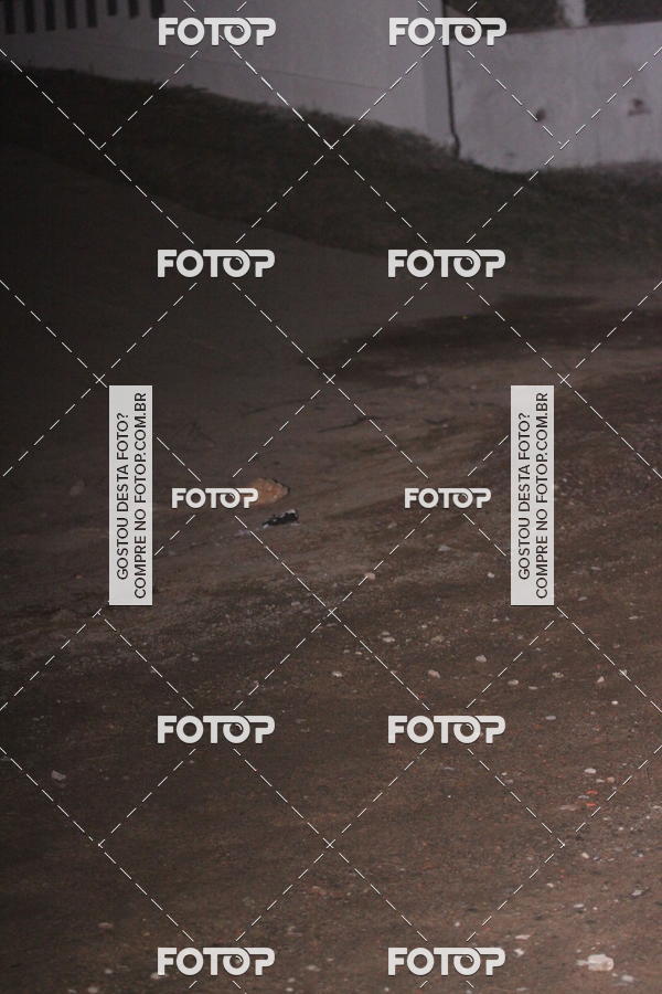 Buy your photos of the eventIGT 23K MOONLIGHT- NOTURNA on Fotop