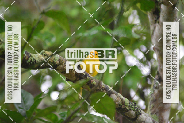 Buy your photos of the eventPeregrinao Angelina 2018 on Fotop