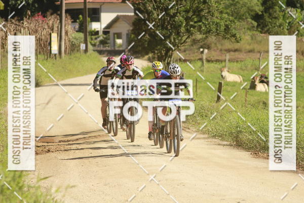 Buy your photos of the event7 VOLTA DO PINHEIRAL on Fotop