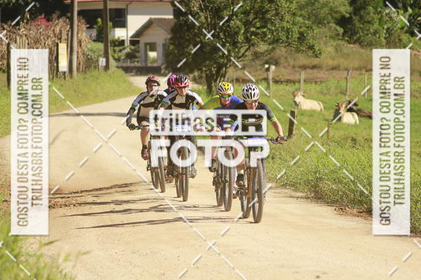Buy your photos of the event7 VOLTA DO PINHEIRAL on Fotop