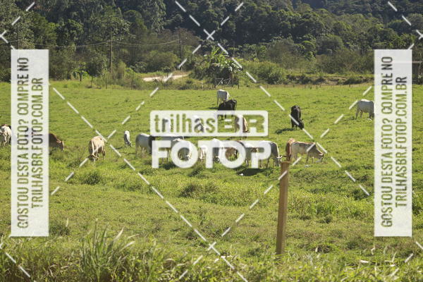Buy your photos of the event7 VOLTA DO PINHEIRAL on Fotop
