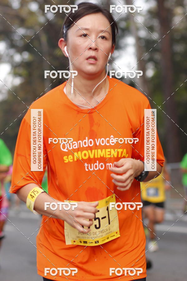 Compre suas fotos do evento26� Maratona P�o de A��car de Revezamento S�o Paulo no Fotop