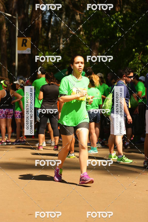 Buy your photos of the event26� Maratona P�o de A��car de Revezamento S�o Paulo on Fotop