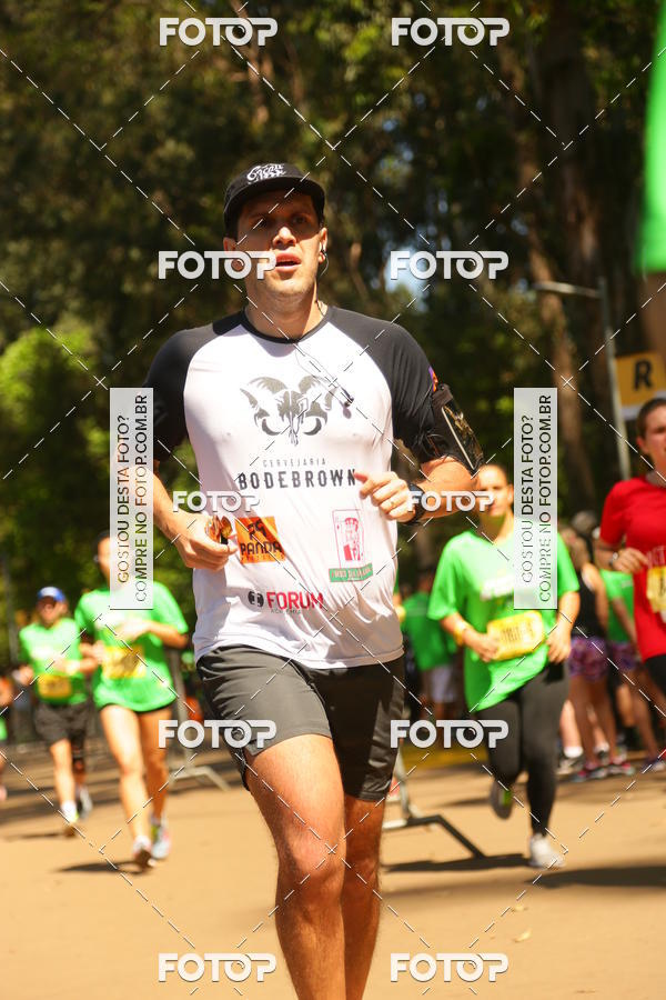 Buy your photos of the event26� Maratona P�o de A��car de Revezamento S�o Paulo on Fotop