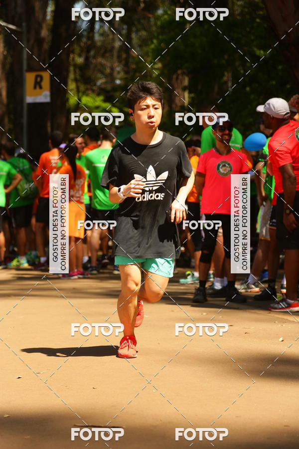 Buy your photos of the event26� Maratona P�o de A��car de Revezamento S�o Paulo on Fotop