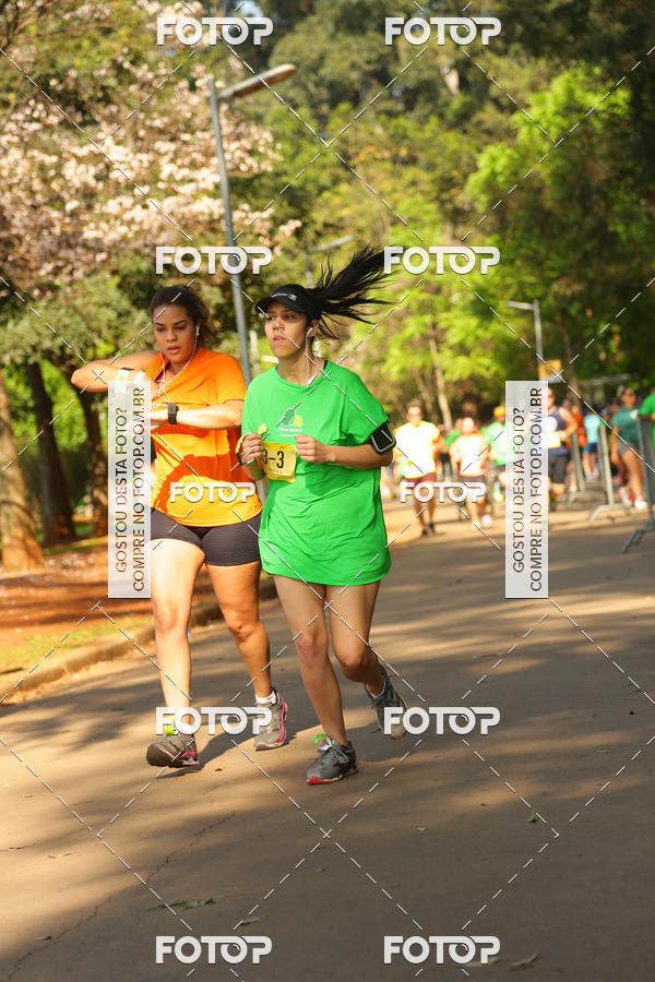 Buy your photos of the event26� Maratona P�o de A��car de Revezamento S�o Paulo on Fotop