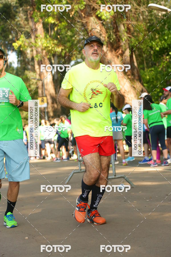 Compre suas fotos do evento26� Maratona P�o de A��car de Revezamento S�o Paulo no Fotop