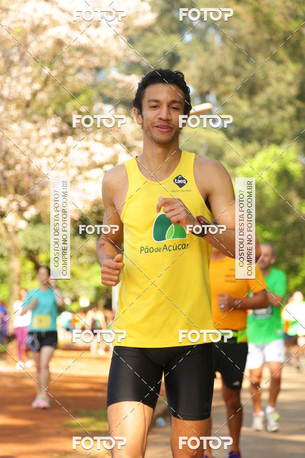 Compre suas fotos do evento26� Maratona P�o de A��car de Revezamento S�o Paulo no Fotop
