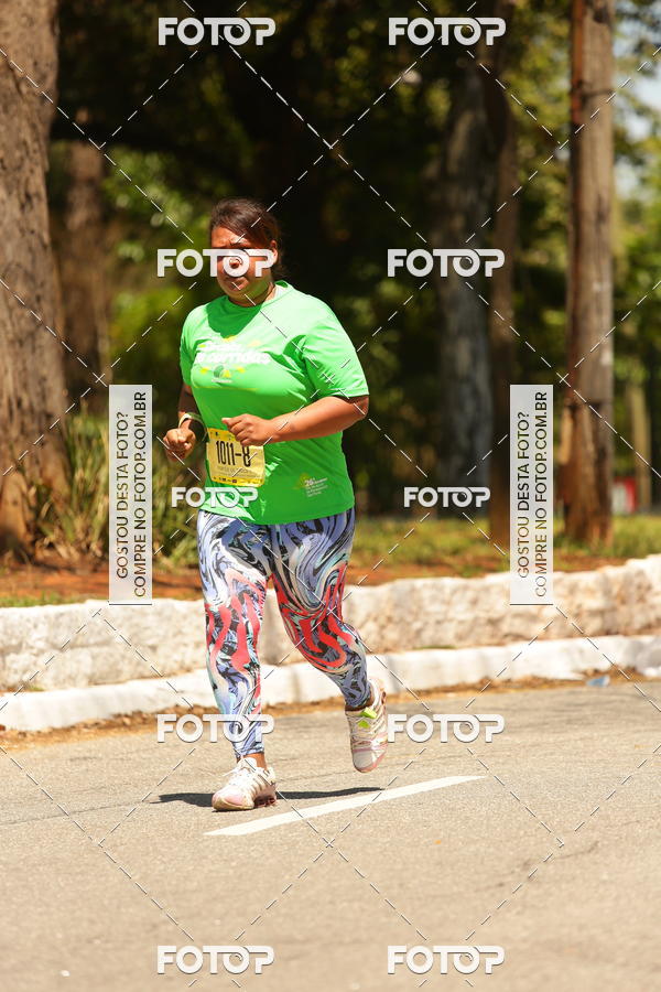 Buy your photos of the event26� Maratona P�o de A��car de Revezamento S�o Paulo on Fotop