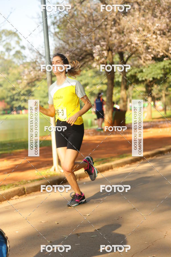 Compre suas fotos do evento26� Maratona P�o de A��car de Revezamento S�o Paulo no Fotop