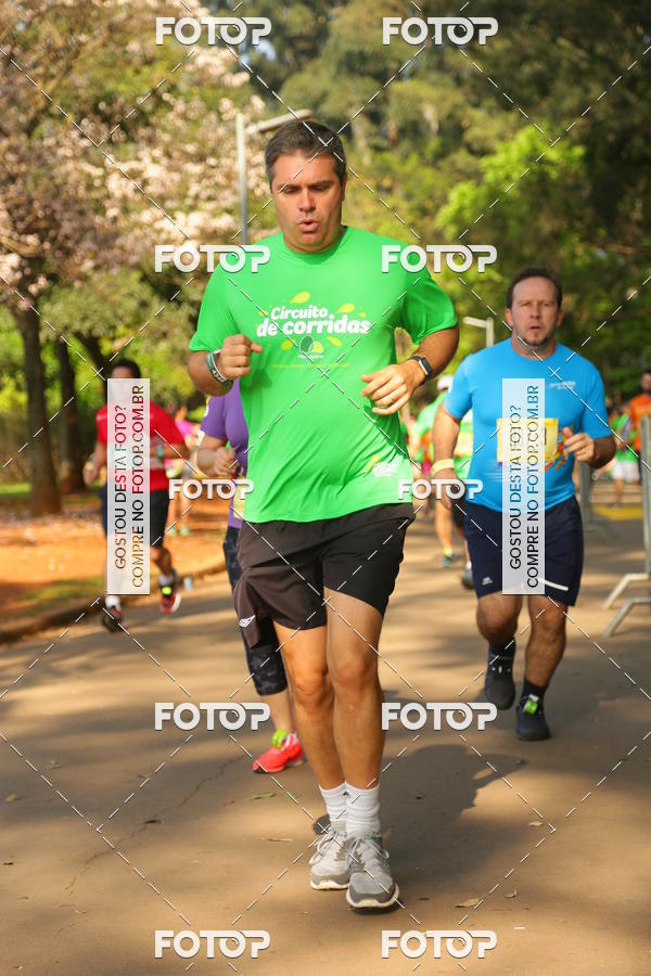 Compre suas fotos do evento26� Maratona P�o de A��car de Revezamento S�o Paulo no Fotop