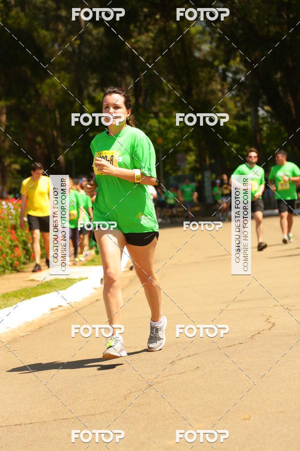 Compre suas fotos do evento26� Maratona P�o de A��car de Revezamento S�o Paulo no Fotop