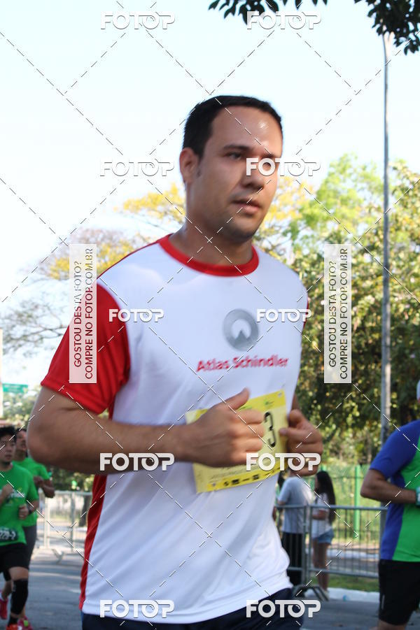 Buy your photos of the event26� Maratona P�o de A��car de Revezamento S�o Paulo on Fotop