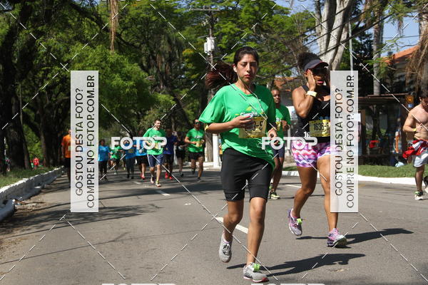 Compre suas fotos do evento26� Maratona P�o de A��car de Revezamento S�o Paulo no Fotop