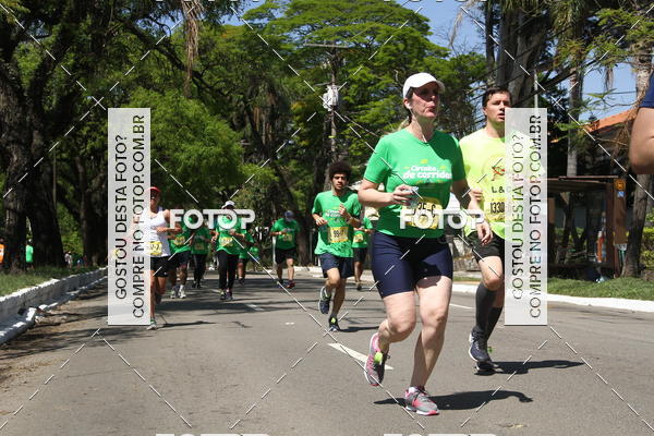 Compre suas fotos do evento26� Maratona P�o de A��car de Revezamento S�o Paulo no Fotop