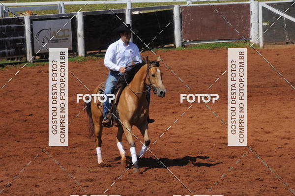 Buy your photos of the eventCAMPEONATO ACC TEAM PENNING SEGUNDA ETAPA on Fotop