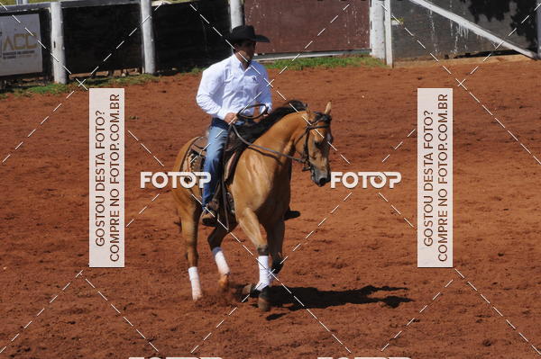 Buy your photos of the eventCAMPEONATO ACC TEAM PENNING SEGUNDA ETAPA on Fotop